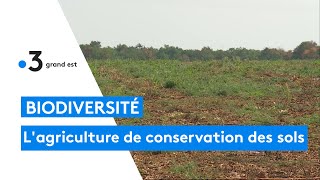 Lagriculture de conservation des sols [upl. by Nortna]