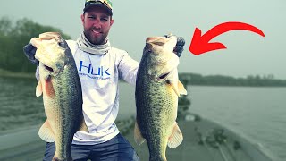 Start FINDING Bass FASTER Than Your Friends Bass Fishing Tips [upl. by Aluor]