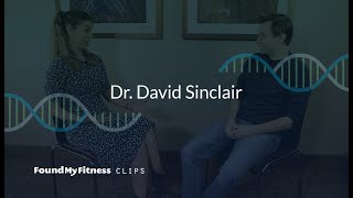 Nicotinamide Riboside vs Nicotinamide Mononucleotide  dosing and effects on NAD  David Sinclair [upl. by Powder]