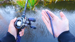 Catch 10x MORE Bass  TRY THIS Bass Fishing Tips [upl. by Kurtis]