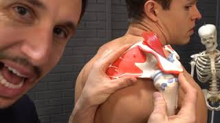 Shoulder Pain Scapula Scoop Instructional MoveU [upl. by Epul]