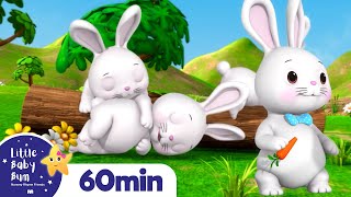 Sleeping Bunnies  LittleBabyBum  Nursery Rhymes for Babies [upl. by Wallach]