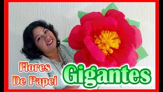 DIY  Como Hacer Flores De Papel Crepe  GIGANTES [upl. by Drhacir965]