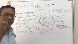 Pneumoniapathophysiology [upl. by Acirret]