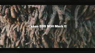 Canon M50 Mark ii Cinematic Video Test [upl. by Barry]