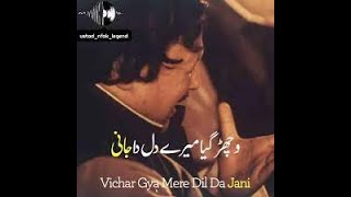 Vichar gya mery dil da jani nusrat fatheh Ali Khan [upl. by Rora]