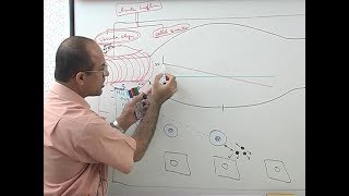 Inflammation  Vascular Events  Immunology  Dr Najeeb [upl. by Llerad]