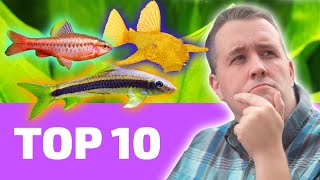 Best Fish Tanks for Beginners [upl. by Nodnelg]