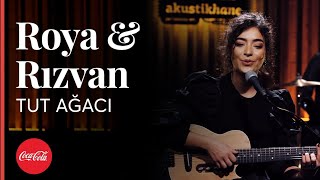 Roya amp Rızvan  Tut Ağacı  Akustikhane hissethezzal [upl. by Delores]