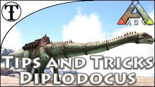 Fast Diplodocus Taming Guide  Ark  Survival Evolved Tips and Tricks [upl. by Katrinka785]