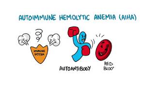 Autoimmune Hemolytic Anemia [upl. by Nylirehs]