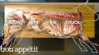 How To Butcher An Entire Cow Every Cut Of Meat Explained  Bon Appetit [upl. by Nnek]