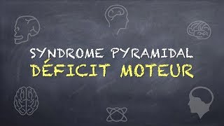 Syndrome Pyramidal  Déficit Moteur [upl. by Warring]