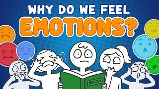 Why do we feel emotions [upl. by Igiul]