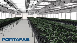 Cultivation Rooms for the Cannabis Industry  Cannabis Growrooms amp Cannabis Cleanrooms [upl. by Neehsar]