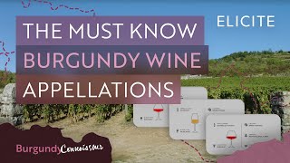 The Complete Guide To Key Burgundy Appellations [upl. by Rainie965]