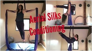 Aerial Silks Conditioning Exercises  UNIQUE AERIALISTS [upl. by Orfield746]