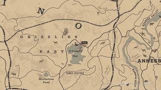 RDR 2 Where to get Succulent Fish from a Salmon needed in Herbalist Challenge 10 Spoilers [upl. by Claiborne447]