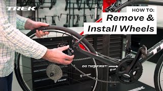 How To Remove and Install Bike Wheels [upl. by Cloots606]