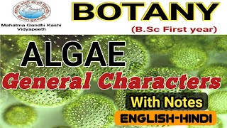 General Characteristics of AlgaeAlgae General FeaturesBSc 1st year [upl. by Icul]