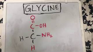 Edexcel SNAB A level biology Energy carbohydrates topic 1 [upl. by Jonah]