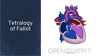 Tetralogy of fallot TOF repair causes symptoms amp pathology [upl. by Kenny917]