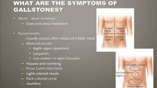 Diseases of the Gallbladder [upl. by Yttik]