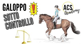 Equitazione Galoppo sotto controllo [upl. by Liana547]