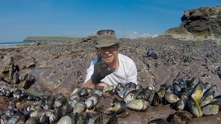 How to forage and cook Moules Mariniere [upl. by Nohsed]