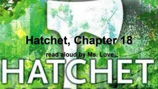 Hatchet by Gary Paulsen Chapter 18 [upl. by Anilas]