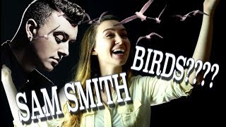 Google Translate Sings Sam Smith PARODY [upl. by Tigges158]