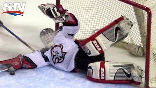 quotThe Dominatorquot Dominik Hasek Career Highlights [upl. by Euqinomad]