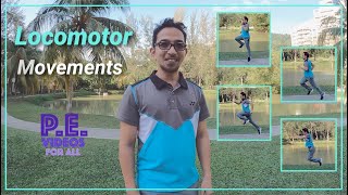 Locomotor movements explained [upl. by Regina]