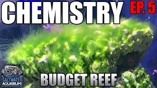 CHEMISTRY in a Budget Reef Tank  Nitrates Phosphates amp Alkalinity [upl. by Oxford189]