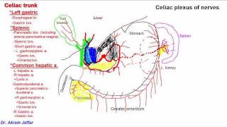 Radiology of Spine Trauma [upl. by Evangelina314]