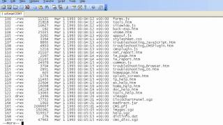 Using The Cisco delete recursive Command To Remove Directories [upl. by Anomas]