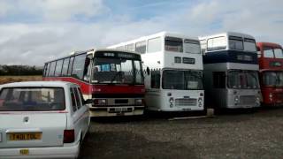 Leyland Tiger B124BOO [upl. by Garber]