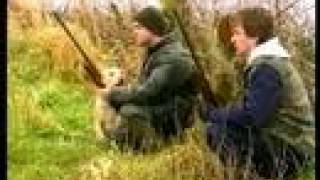 Fox Hunting Rabbit Shooting and wildfowling [upl. by Jasper217]