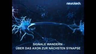 Grundlagen 6 Synapsen neurotech [upl. by Thursby]