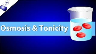 Osmosis and Tonicity [upl. by Yrocal]