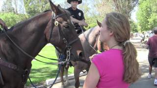 The Pet Psychic Talks to Police Horses [upl. by Nixie]