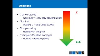 Tort Law  Remedies [upl. by Bouchier840]