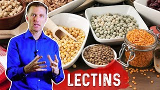 Lectins and Autoimmune Conditions [upl. by Yerok]