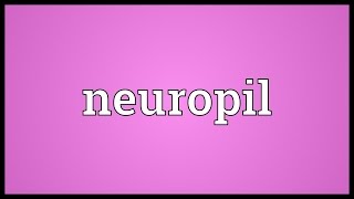 Neuropil Meaning [upl. by Henriette]