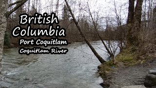 British Columbia  Port Coquitlam Coquitlam River [upl. by Irak]