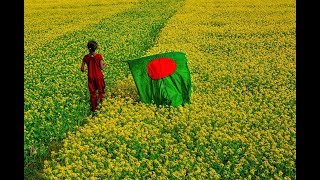 Amar Sonar Bangla Ami Tomai Valobashi Bangladesh National Song [upl. by Brigg]