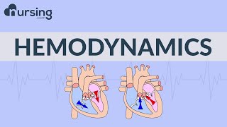 The Basics of Hemodynamics Nursing School Lessons [upl. by Jar590]