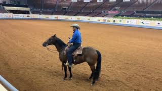 Nutrena Ride the Pattern Clinic Ranch Riding [upl. by Nehcterg]