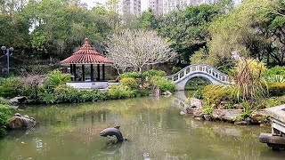 Lets Explore Hong Kong  Shatin Park [upl. by Hardman]