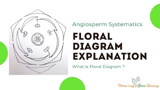 Floral Diagram explanation I What is floral diagram [upl. by Rolyat]